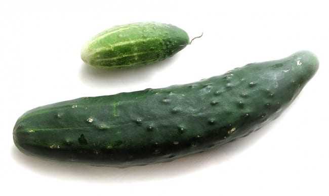cucumber
