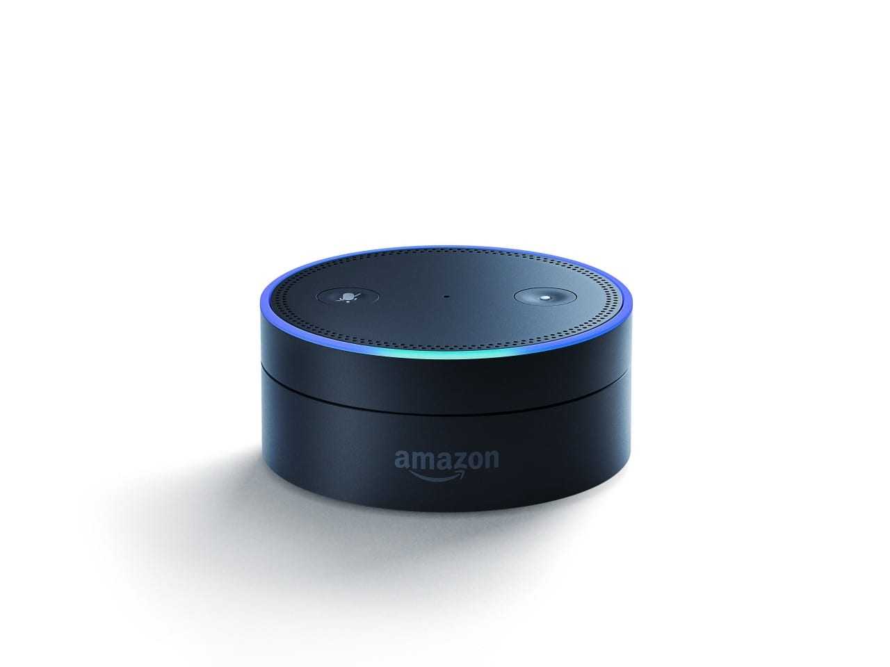 How To Make Amazon Echo Dot Portable at Tammy Wilder blog