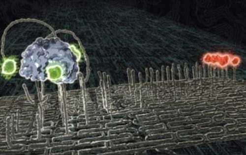 Συγκλονιστικό: Έτσι είναι ένα Nanobot-αράχνη…