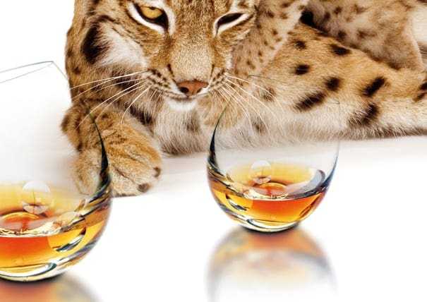 Είναι ΣΚ, ας χαλαρώσουμε λιγάκι…