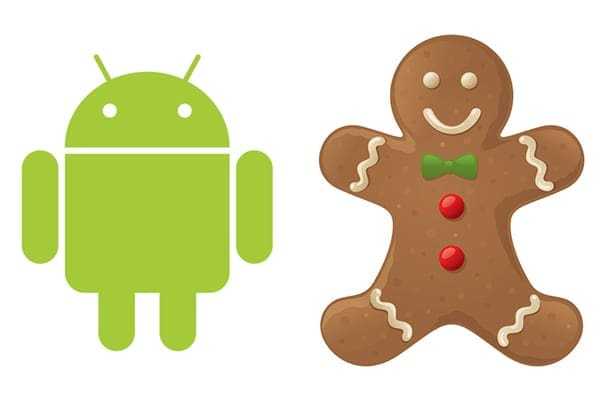 Επιβεβαίωση για το Gingerbread, η μασκότ φτάνει στο Google Campus…