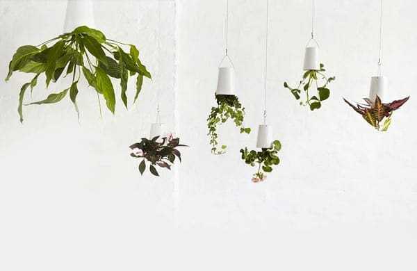 BOSKKE Sky Planters: ένας κήπος… ουρανοκατέβατος!