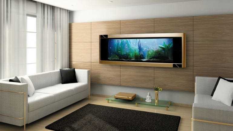 Ενυδρεία για κροίσους – ή εκείνους που δεν έχουν χρόνο να σπαταλήσουν…