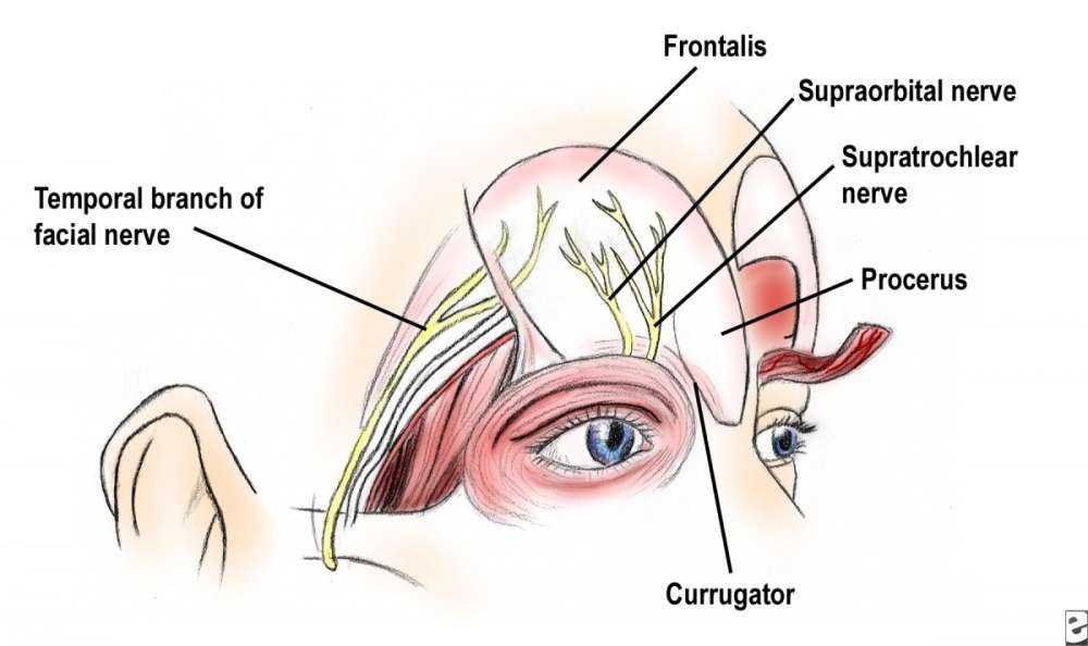 Facelift για το Facebook για παιχνίδι με φίλους και φωτό…