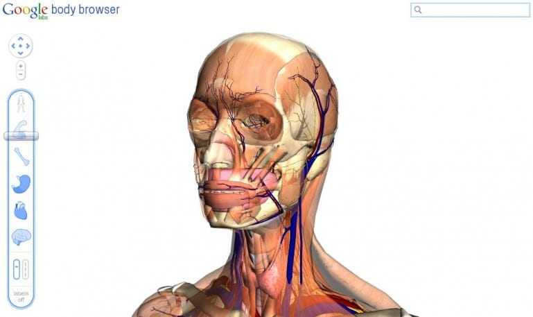 Body Browser: η ανατομία του ανθρώπινου σώματος από τη Google…