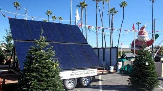 Αυτό είναι το πιο… οικολογικό παζάρι χριστουγεννιάτικων δέντρων!