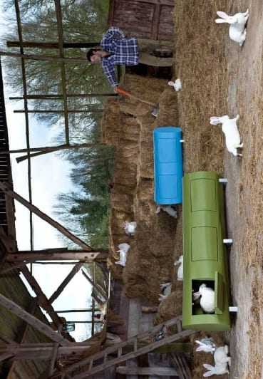 Ένας… κορμός σπιτάκι!