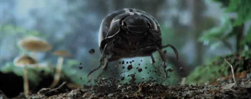 Ποιες ήταν οι top 10 διαφημίσεις του αγώνα Super Bowl σε hits στο YouTube;