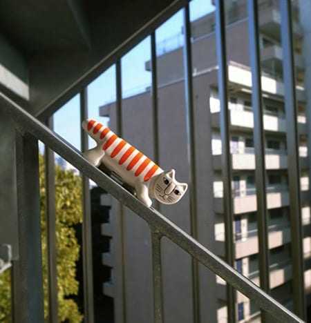 NECONO: πες… ‘cheese’ στη γατούλα!