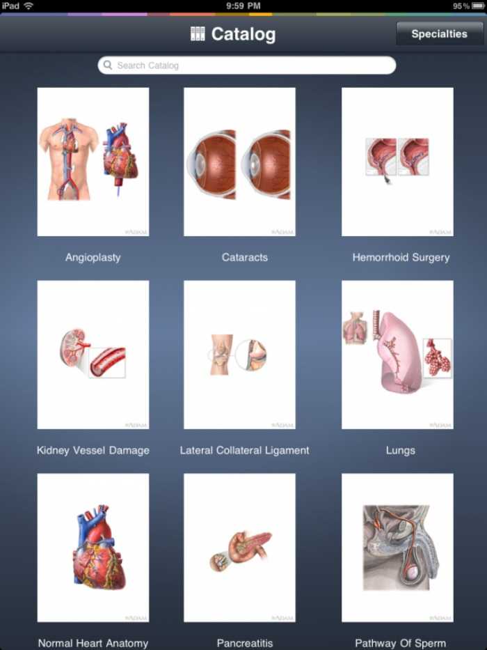 iffPad – για ιατρικά διαγράμματα μέσω iPad