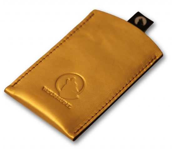 Θήκη από χρυσάφι…