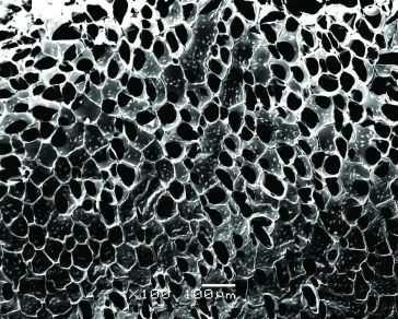 Χρυσά ‘νανοκαλώδια’ για την τραυματισμένη καρδιά…