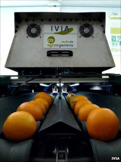 Ρομποτική όραση ελέγχει… πορτοκάλια!