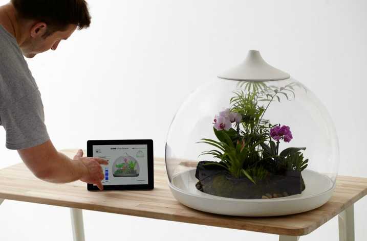 Biome Smart Terrarium – έλεγχος με tablet για το ενυδρείο…