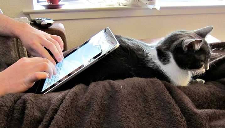 Φήμες για ένα 7.85″ iPad;