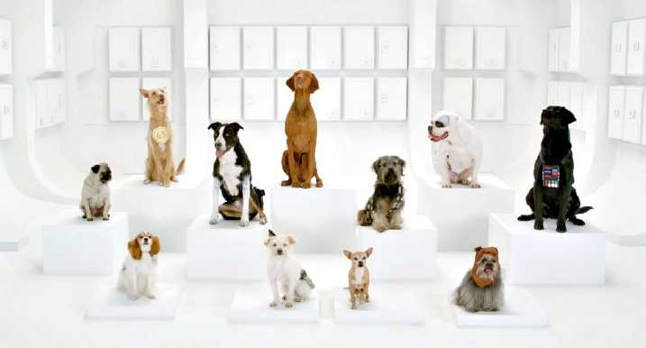 Αυτή είναι η Supebowl διαφήμιση της VW για φέτος…