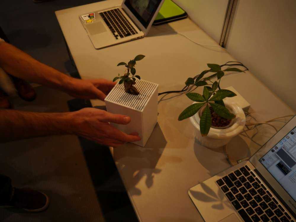 Interactive emotional plants – τα φυτά με οποία επικοινωνείς…