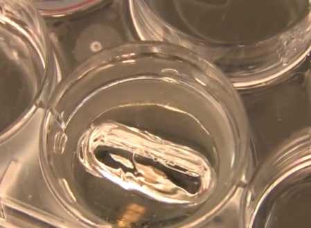 Έρχονται οι συνθετικές φωνητικές χορδές;