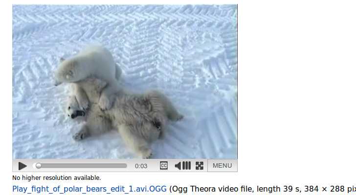 Και βίντεο στη Wikipedia;