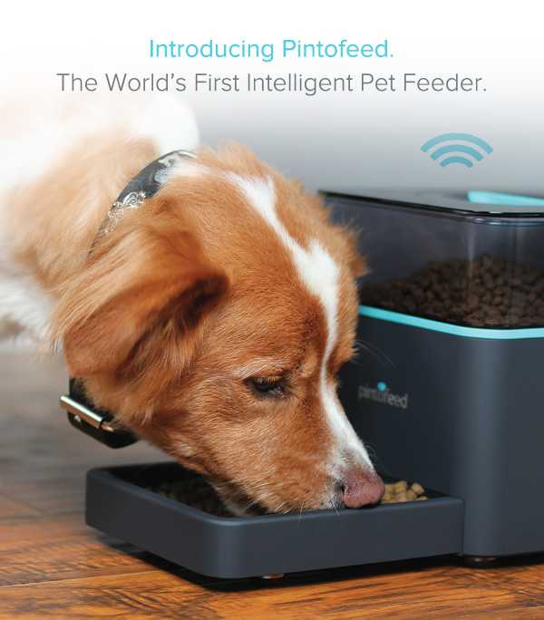 Gadget για να ταίζεις το… κατοικίδιο με το smartphone!