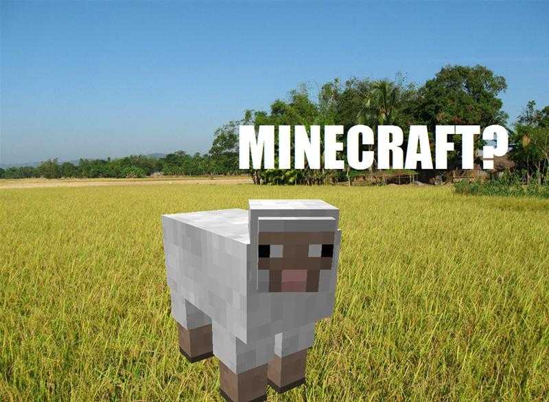 Minecraft για το PlayStation;