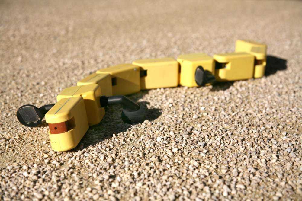 Salamandra Robotica II Robot