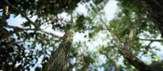 Απίστευτο Tech Demo της CryEngine