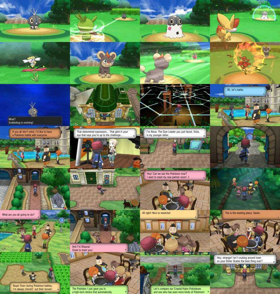 Pokemon XY Shauna  Pokemon characters, Pokemon art, Pokemon trainer