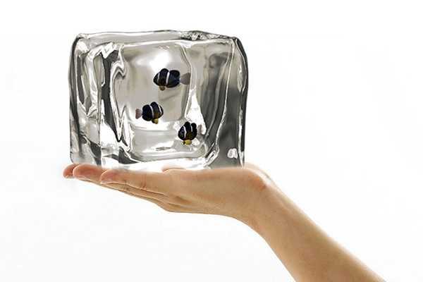 “Παγάκι” ενυδρείο