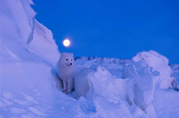 National Geographic – Best Travel Photos 2013