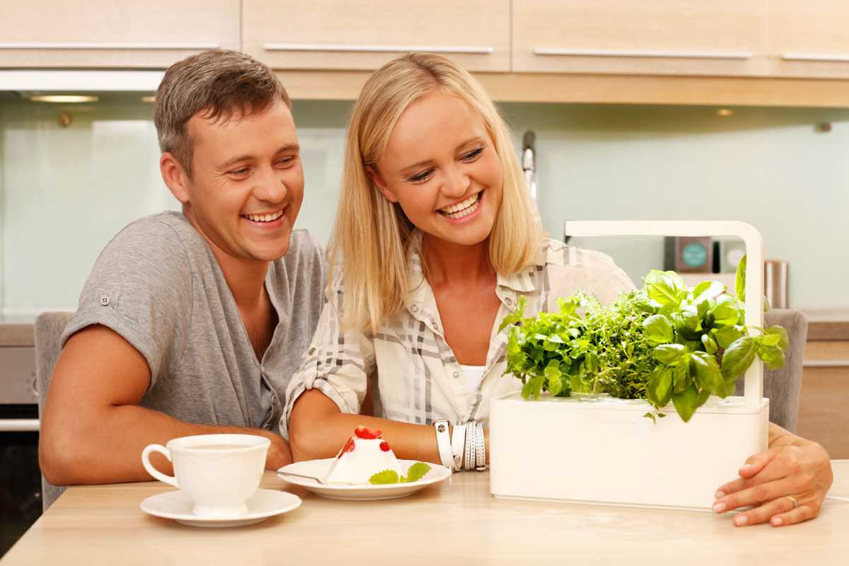 Click and Grow Smart Herb Garden