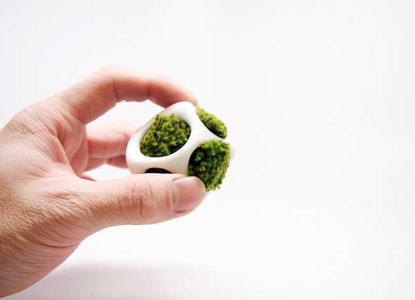 Urban Nature Redefined