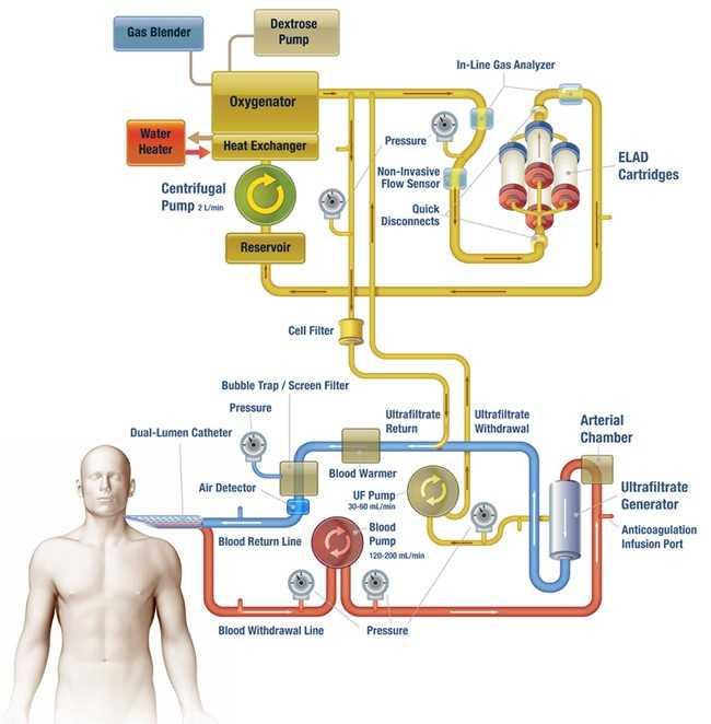 Τεχνητό συκώτι new generation…
