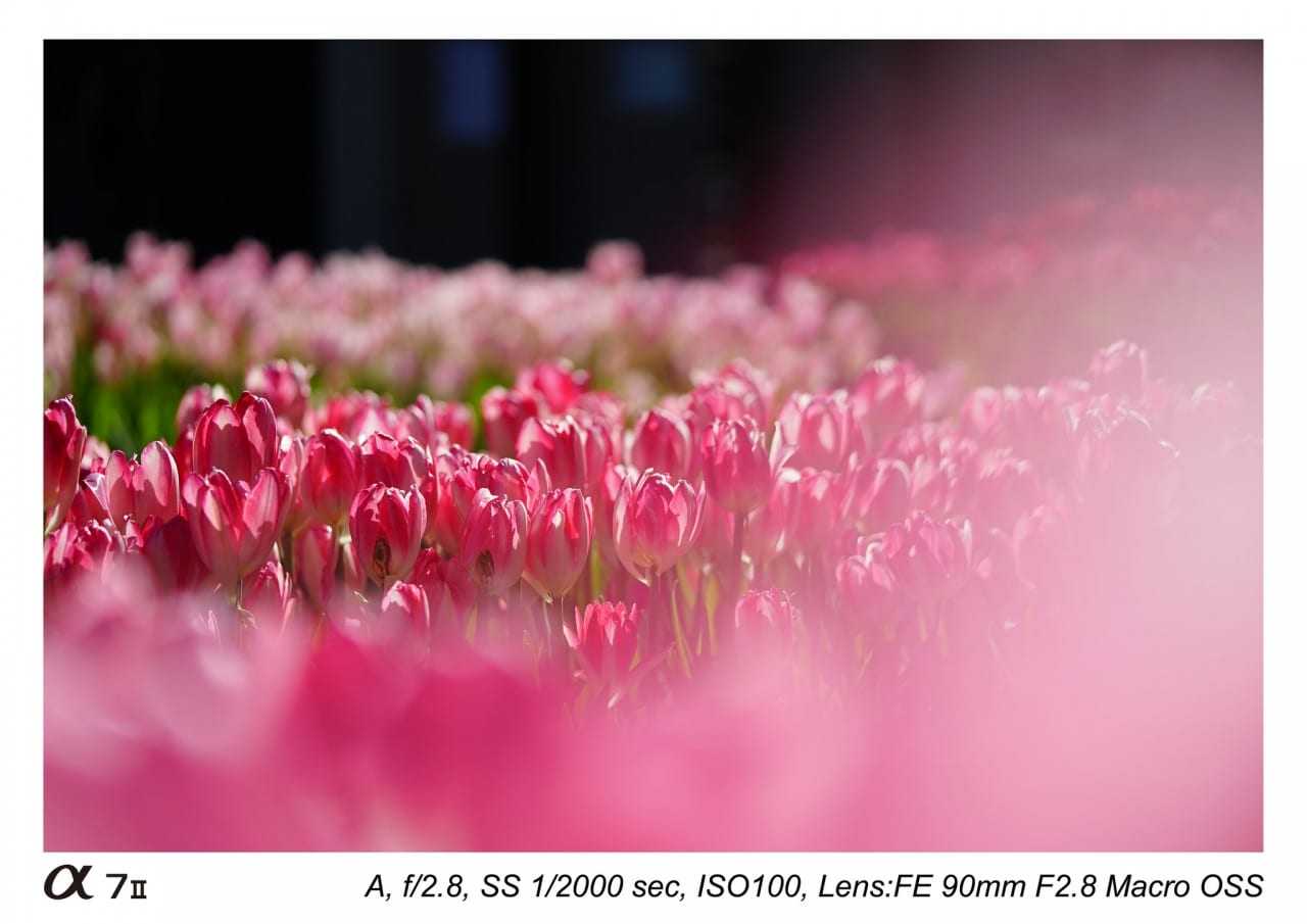 Sony 90mm FE Macro G OSS – πρώτο unboxing…