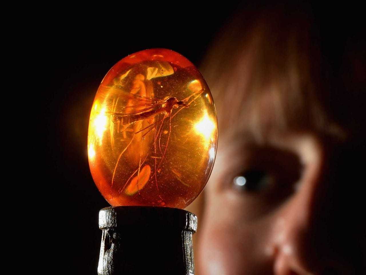 Πόσο θα κόστιζε να χτίσεις ένα πραγματικό πάρκο Jurassic;