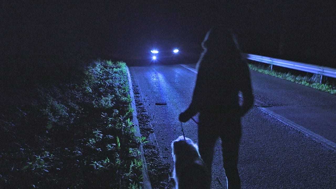 Adaptive Headlights – τα φώτα που σώζουν ζωές…