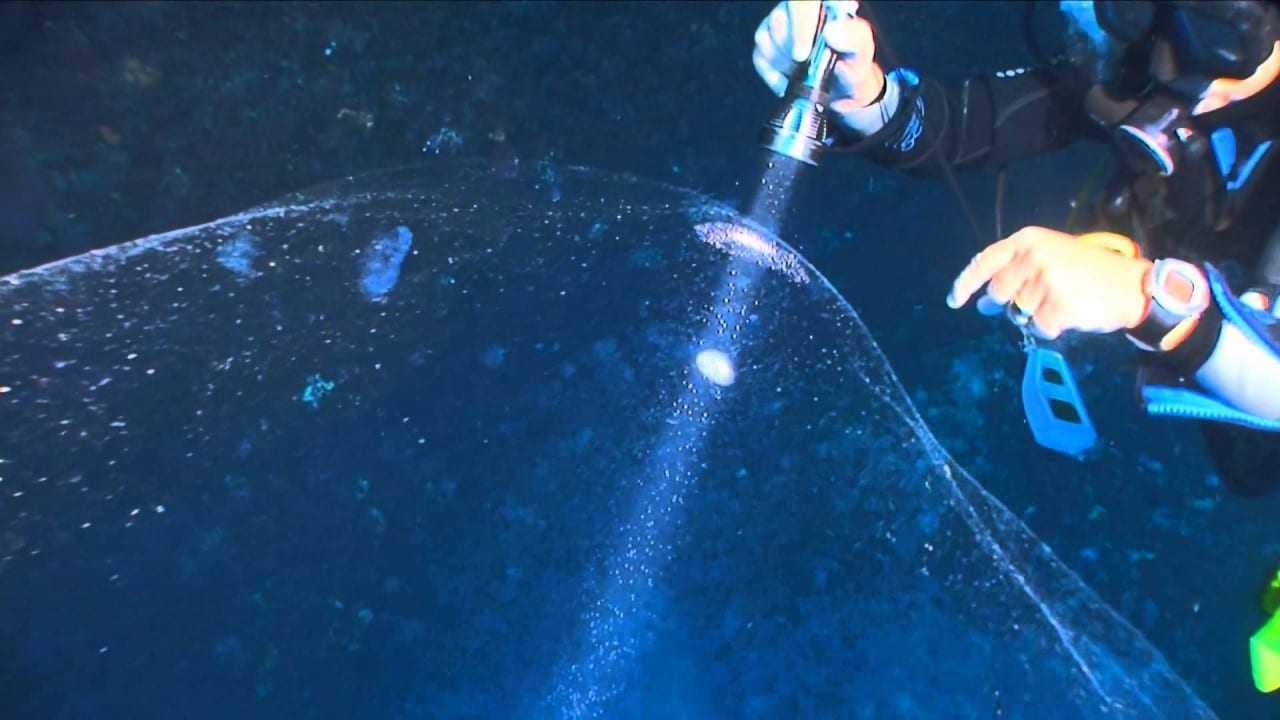 Deep Sea Mystery – Το συγκλονιστικό Πράγμα του βυθού…