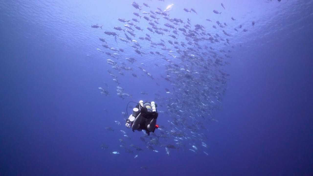 Πρώτο υποβρύχιο Sony A7rII βίντεο!