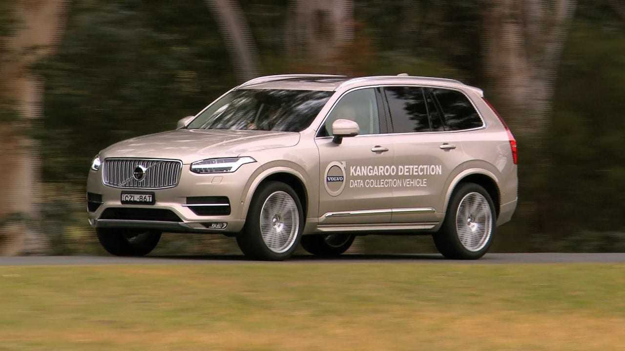 Volvo Kangaroo Detection System