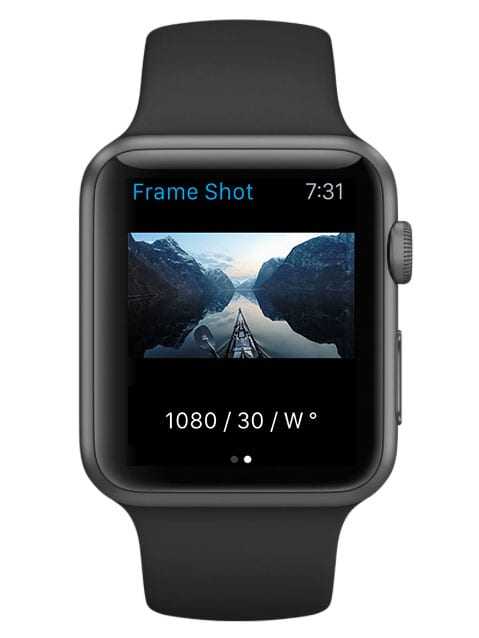 Apple Watch +「GoPro App」