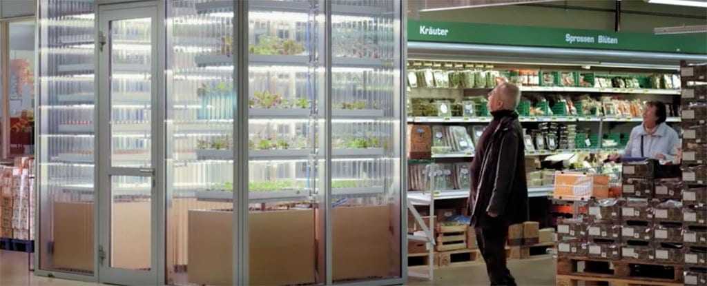 Ηi Tech λαχανόκηπος μέσα στο Supemarket