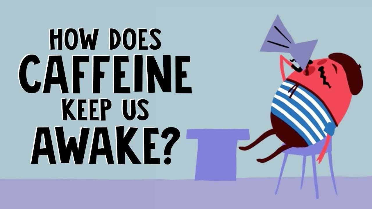 Πως μας κρατά ξύπνιους η καφείνη;