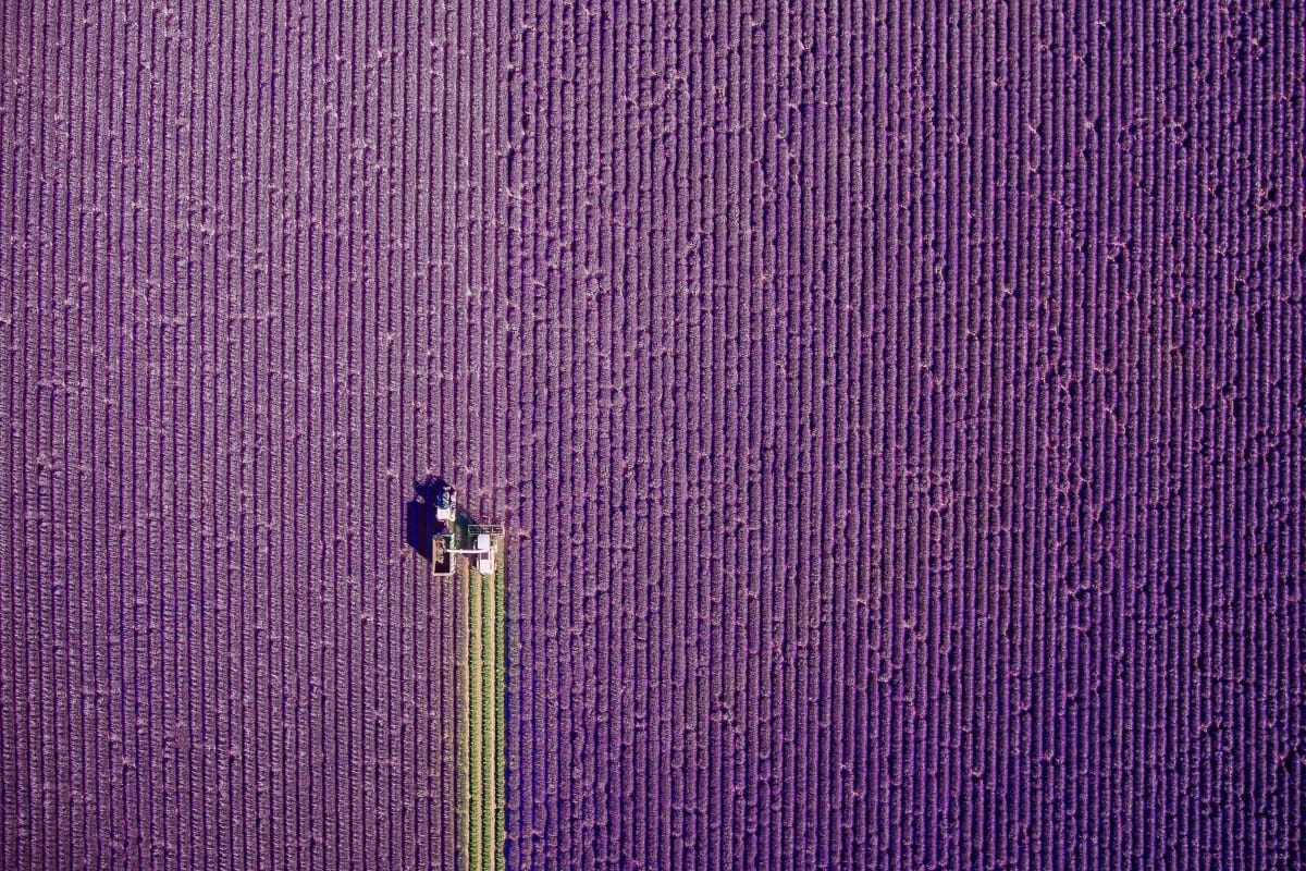 Best Drone Photographs of 2017