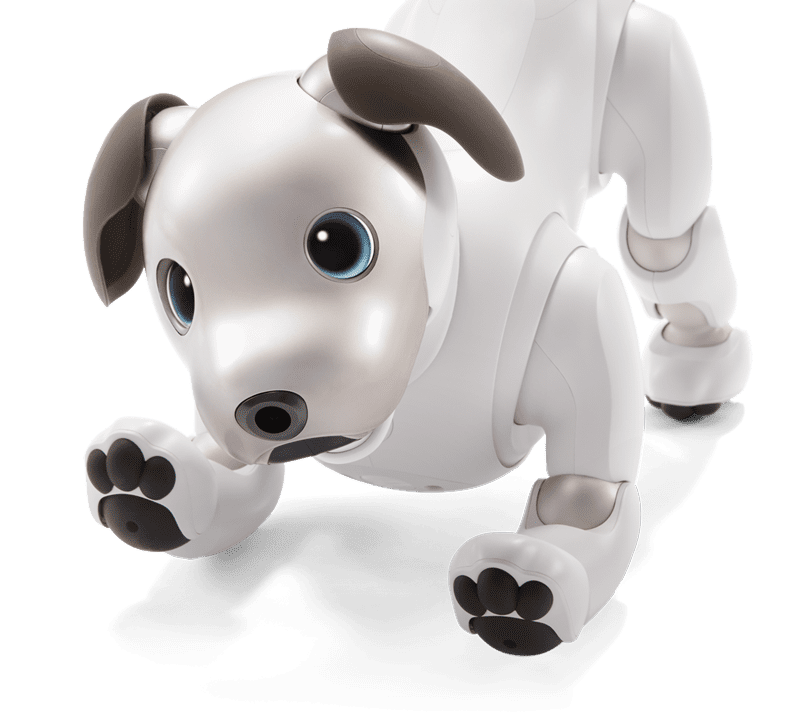 Sony Aibo Entertainment Robot
