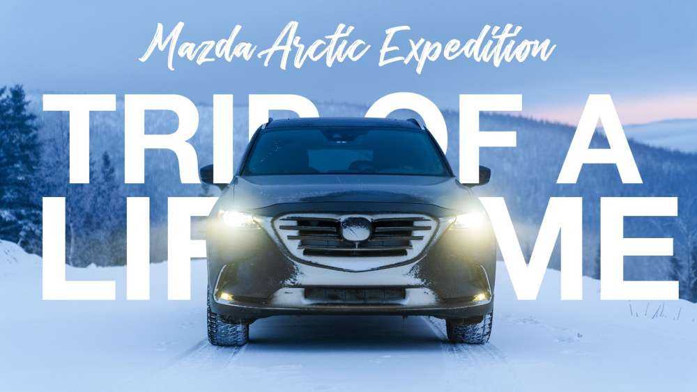 The Arctic Expedition