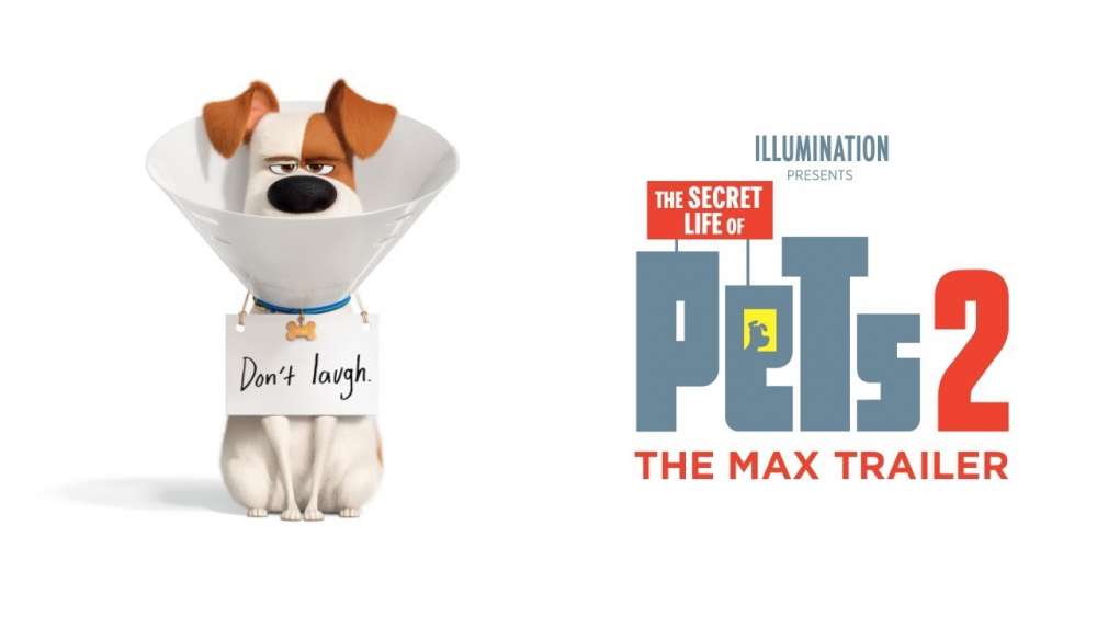 The Secret Life of Pets 2 – Rooster Reveal Trailer #6