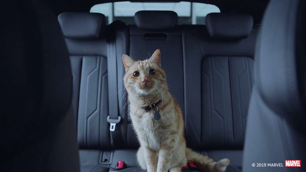 “The Debriefing”