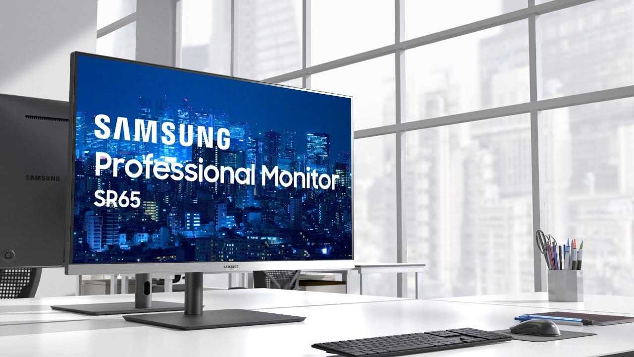 Samsung Professional Monitor SR65