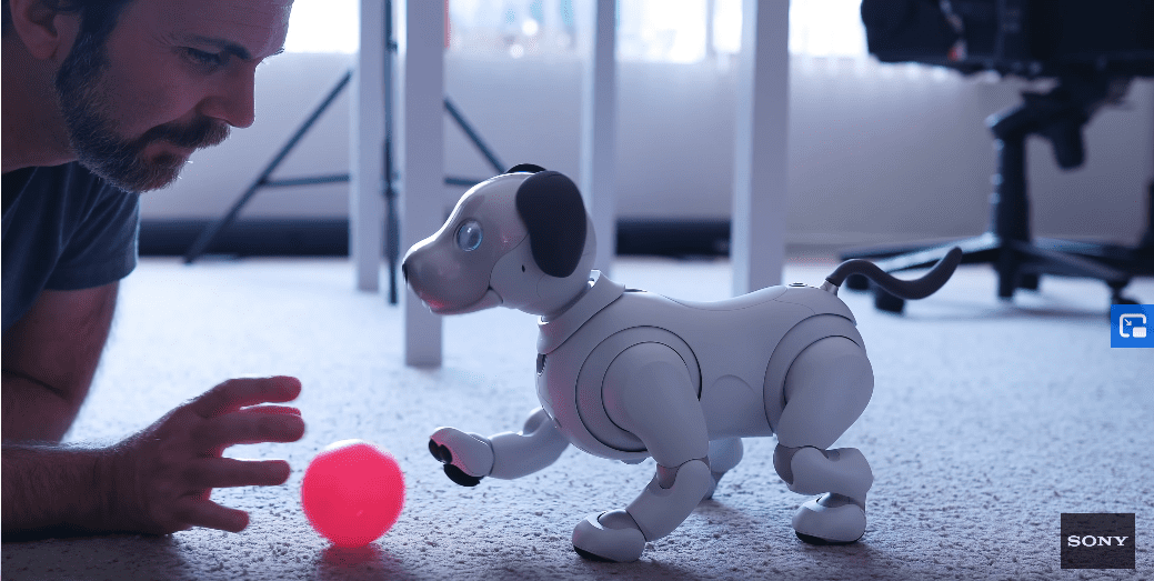 Μια ημέρα με τον aibo