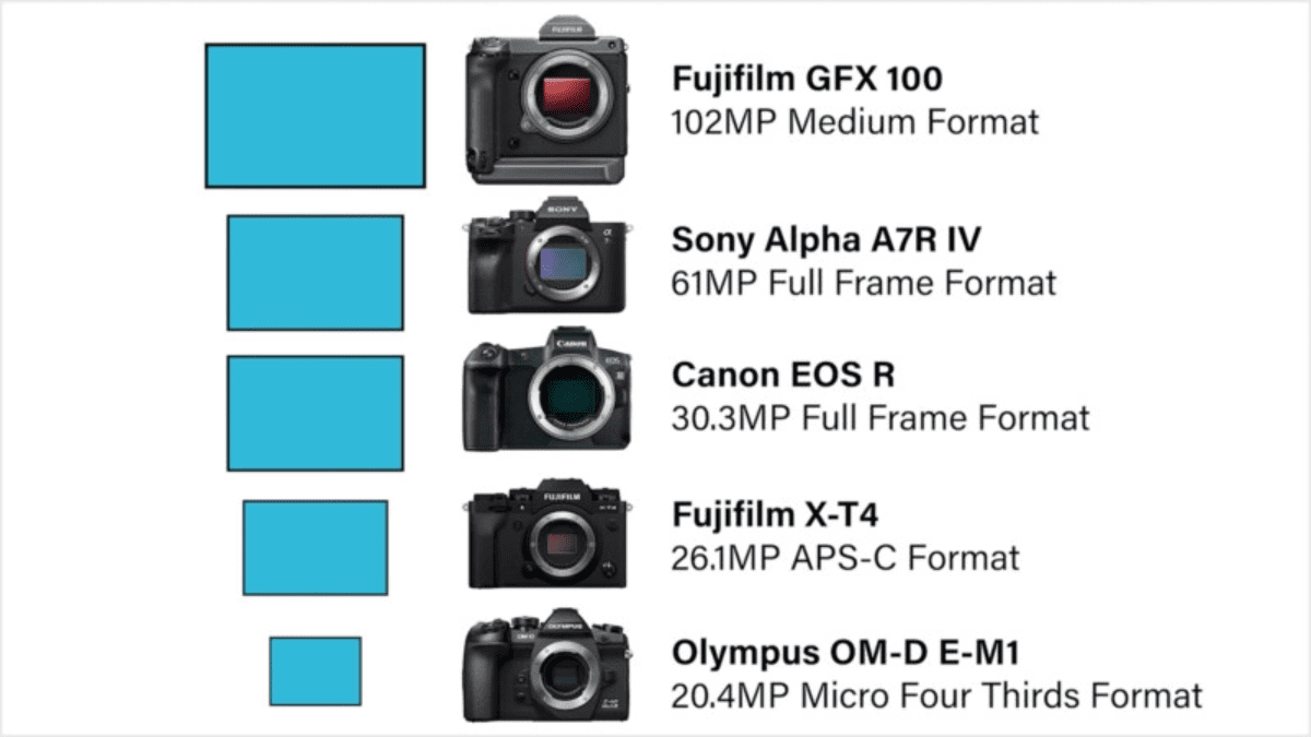 Camera Sensor Size Comparison Δοκιμή Gadgetfreak Not Just Tech